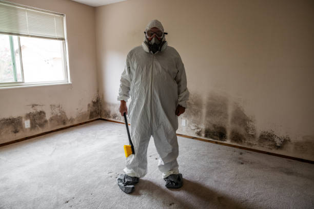 Best Industrial Mold Remediation  in Mechanicsburg, OH